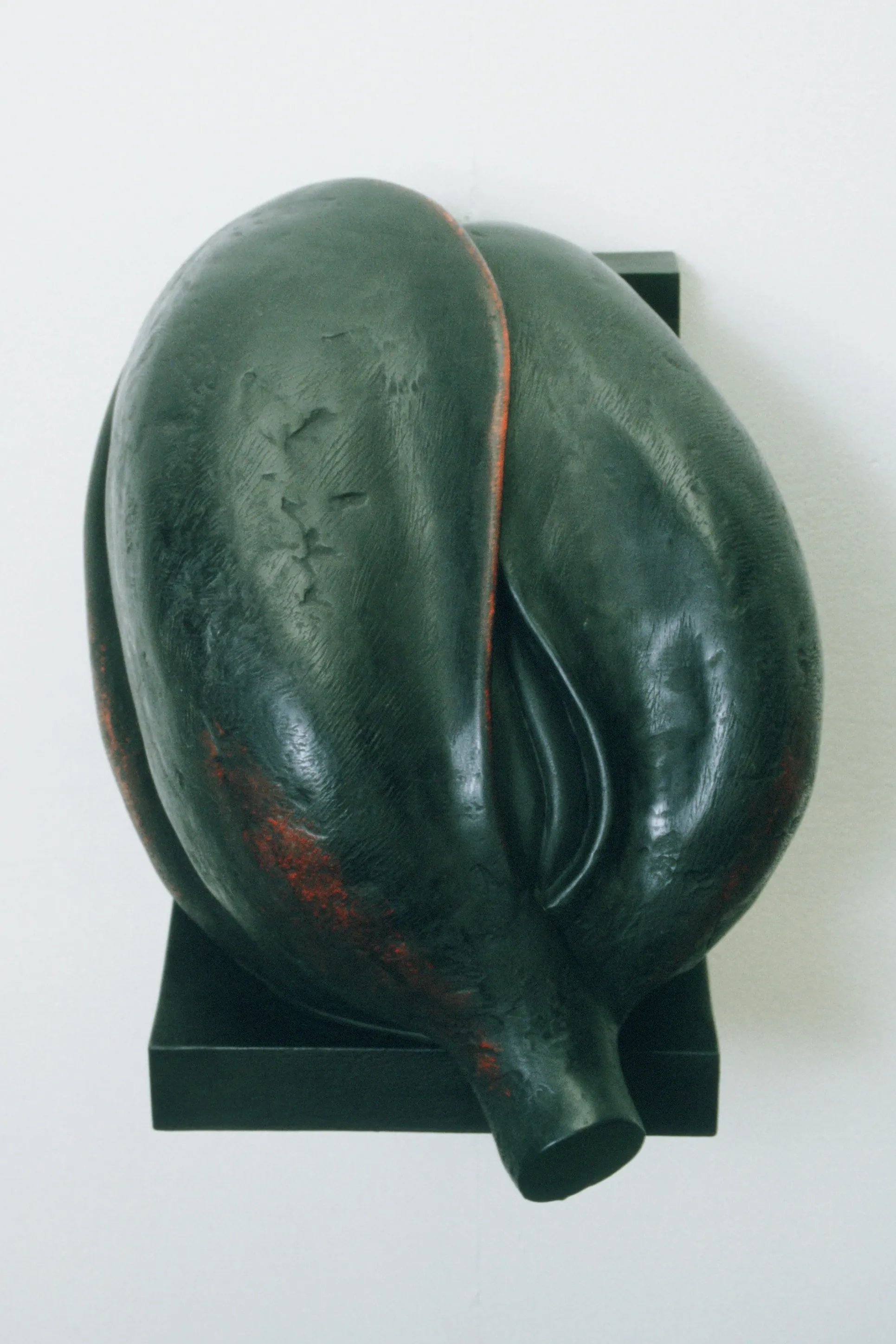 Tulip Head