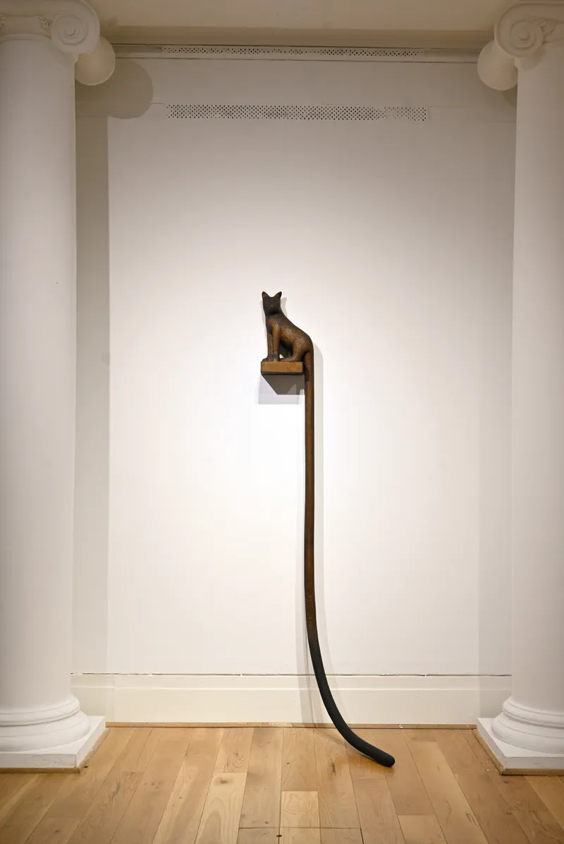 Beckett's Cat